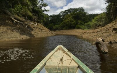 Proyecto REDD+ Aire de Vida Monochoa, una apuesta para la conservación en Araracuara